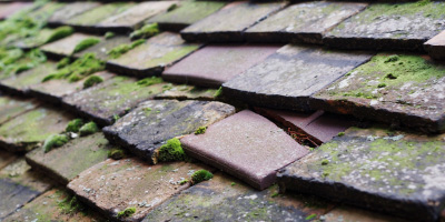 South Cerney roof repair costs